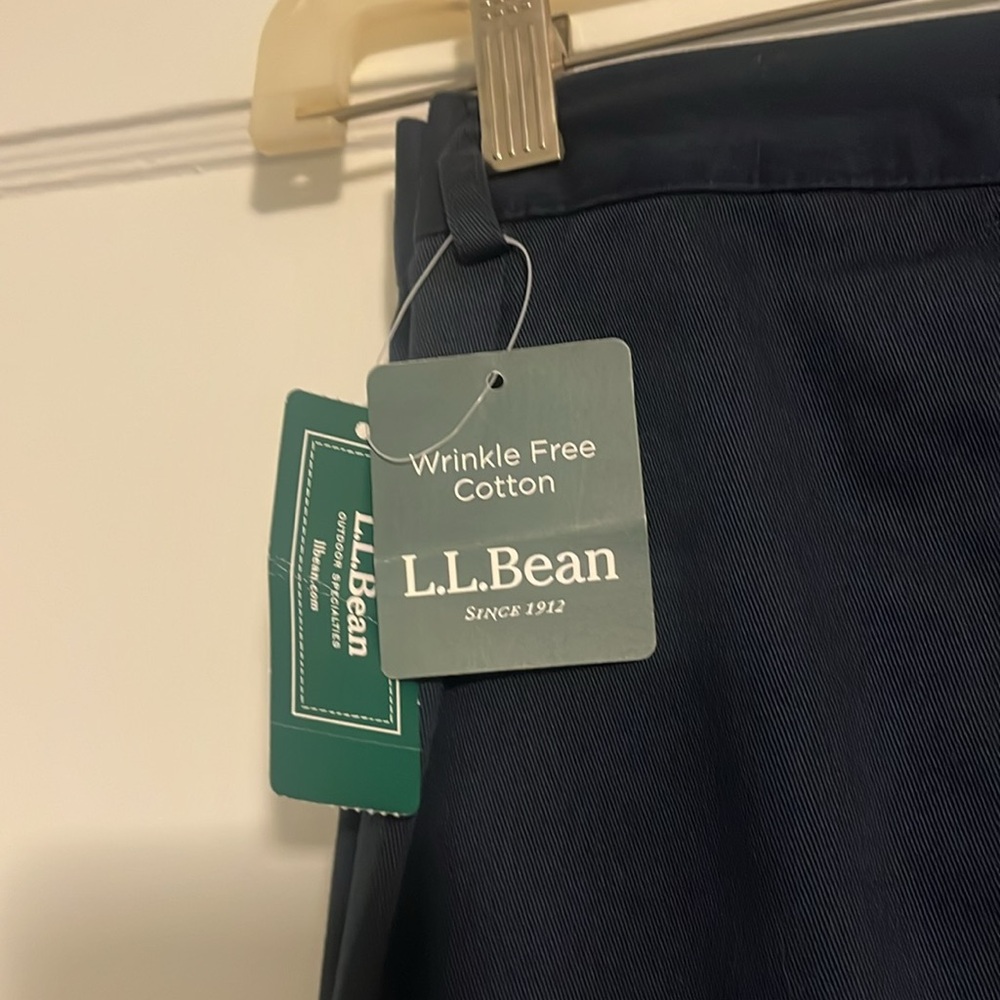 L.L. Bean pleated cotton pants, elastic waist, back only - Picture 3 of 5